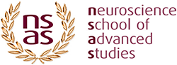 Neuroscience Initiative for Business and Management